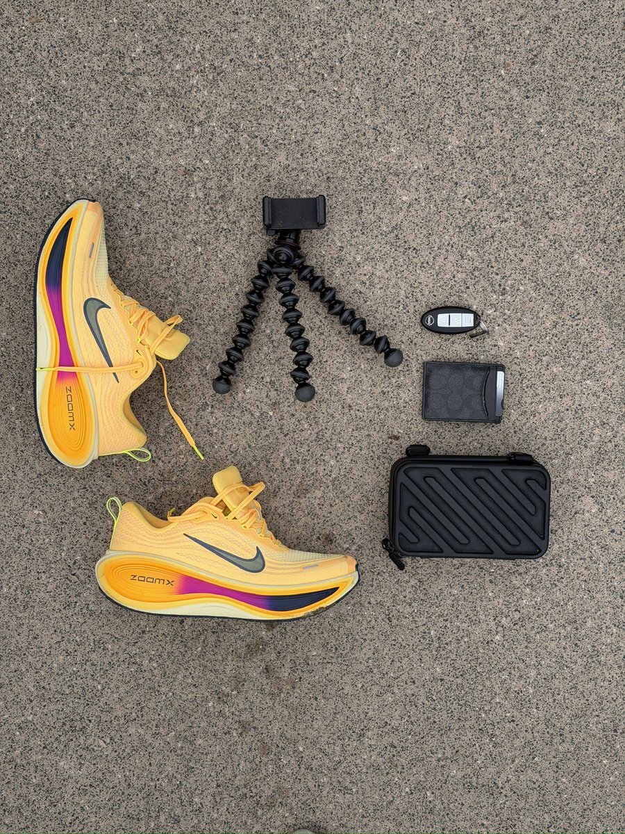 lemi laśu tweet media