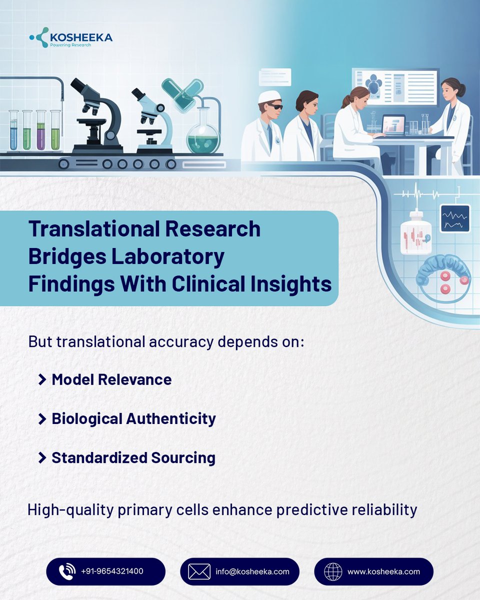 kosheeka tweet media