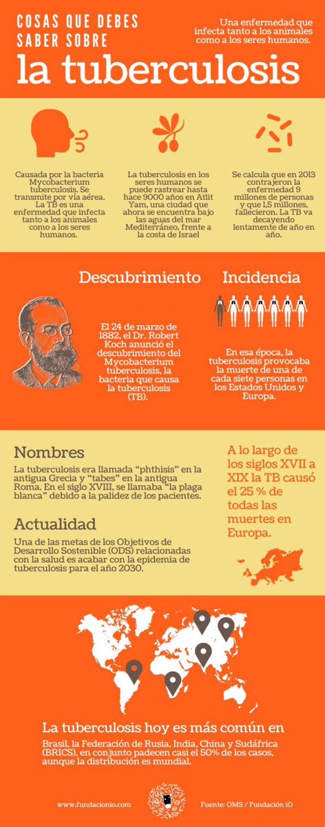 RarasNoInvisibles tweet media