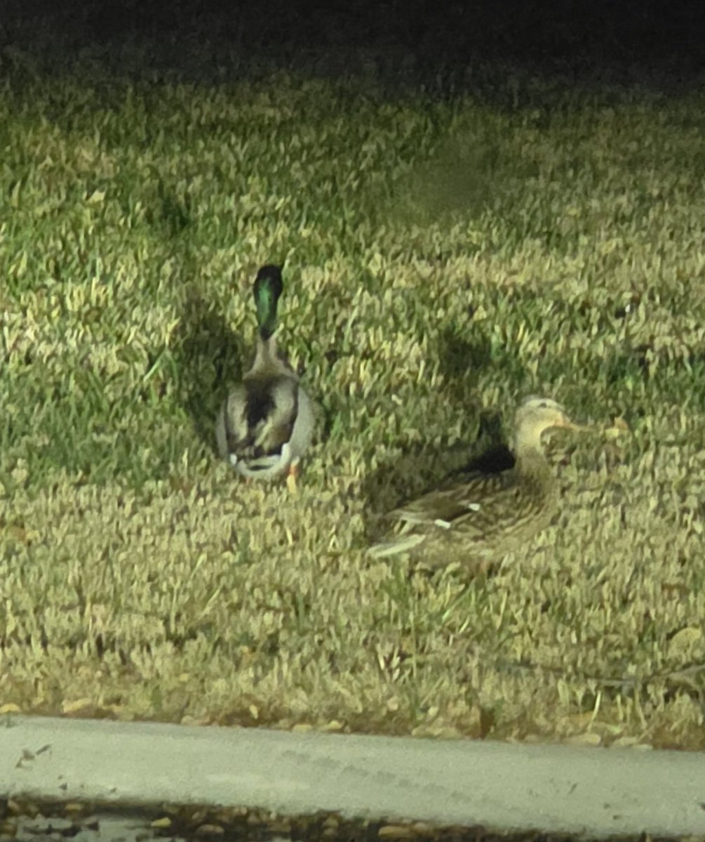 Keith Malinak ATMshow.com tweet media