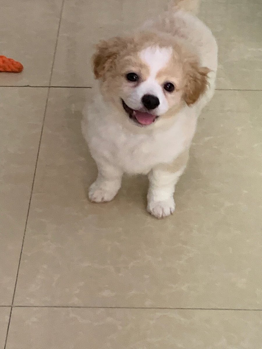 Faith Neal  tweet media