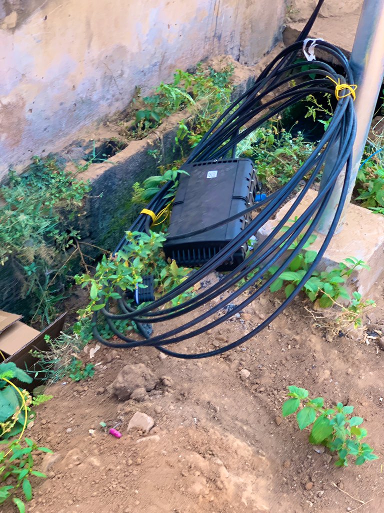 Omo Iya Jollo tweet media