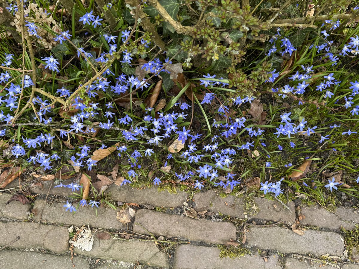 Zeg maar Nancy tweet media