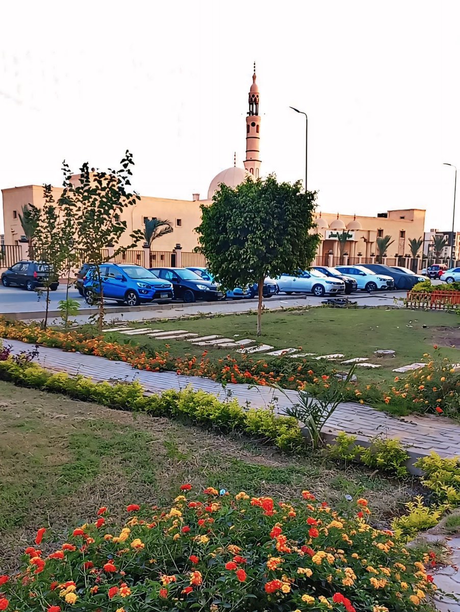 𝑀𝑜𝑜ñ✨ tweet media