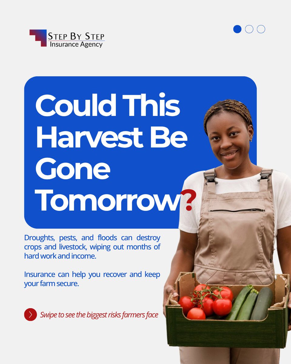 StepByStepIA's tweet image. Farming in Kenya comes with risks – from unpredictable weather and pests to livestock diseases and market fluctuations. 🌱

#StepByStepInsurance #AgriculturalInsurance #KenyanFarmers #FarmSmart #ClimateRisk