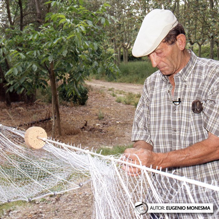 EugenioMonesma's tweet image. 🐟 Hasta 800 kg de #peces en un solo día con #REDES CASERAS (⚠️ técnica hoy prohibida)

Con su barca, Félix salía cada mañana a faenar en el río Ebro con las redes que él mismo confeccionaba a mano con hilos, plomos y corchos.

📽️ Documental COMPLETO (9'): youtu.be/lBg3DddPLUw