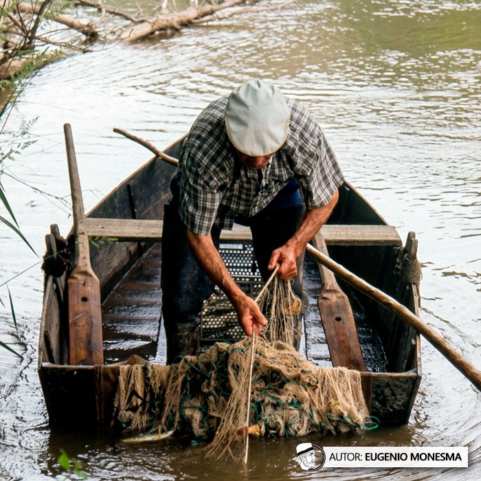 EugenioMonesma's tweet image. 🐟 Hasta 800 kg de #peces en un solo día con #REDES CASERAS (⚠️ técnica hoy prohibida)

Con su barca, Félix salía cada mañana a faenar en el río Ebro con las redes que él mismo confeccionaba a mano con hilos, plomos y corchos.

📽️ Documental COMPLETO (9'): youtu.be/lBg3DddPLUw