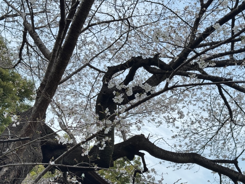 ホテル椿山荘東京 tweet media