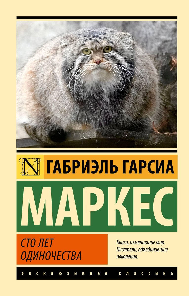 Лентач tweet media