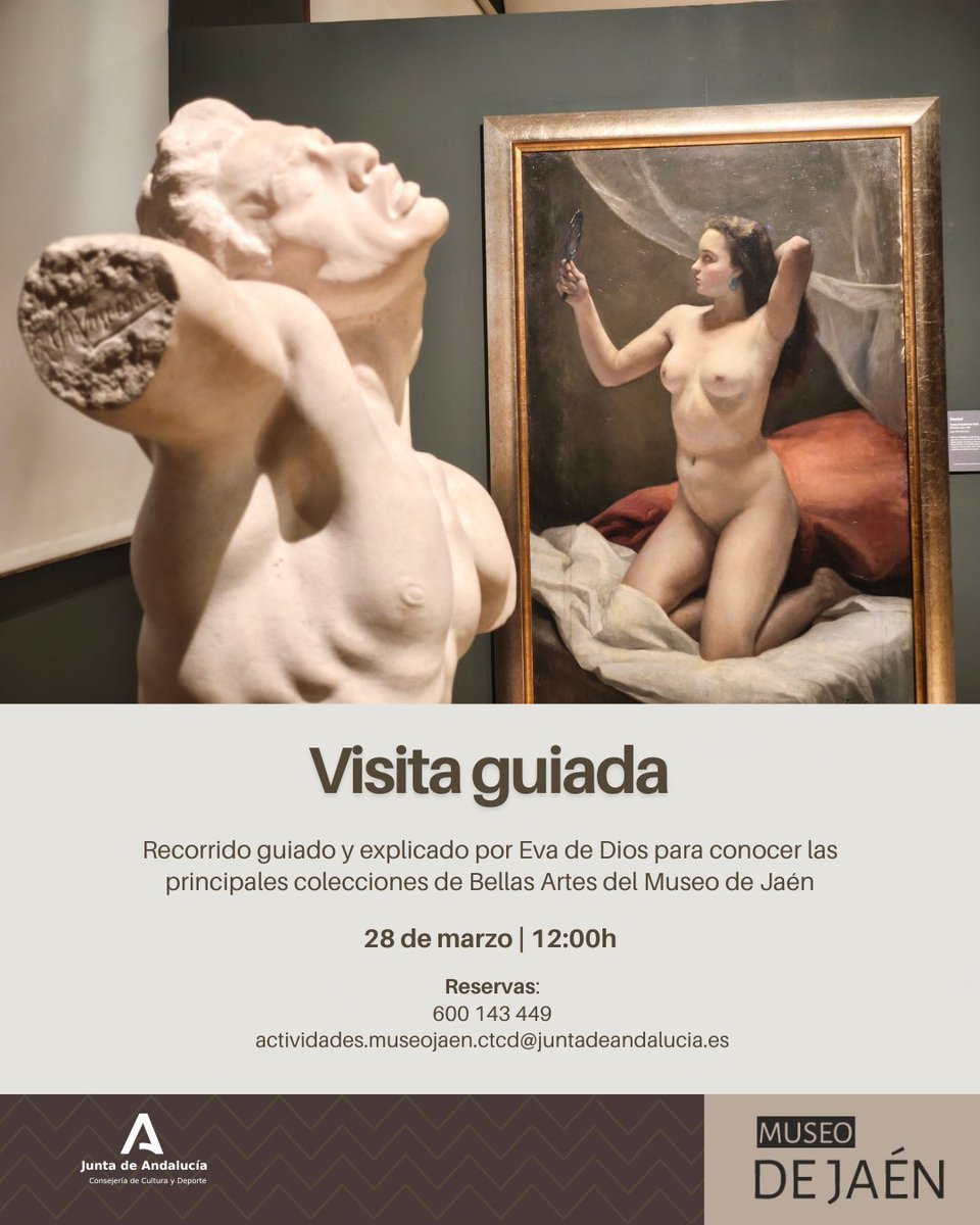 Museo de Jaén tweet media