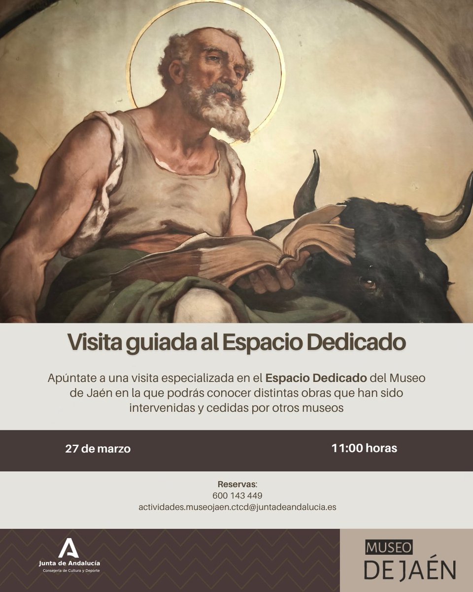 Museo de Jaén tweet media