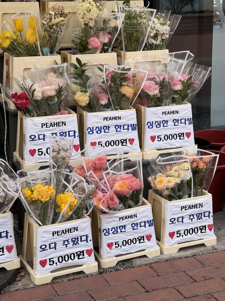 𝑖𝑛𝑔 tweet media