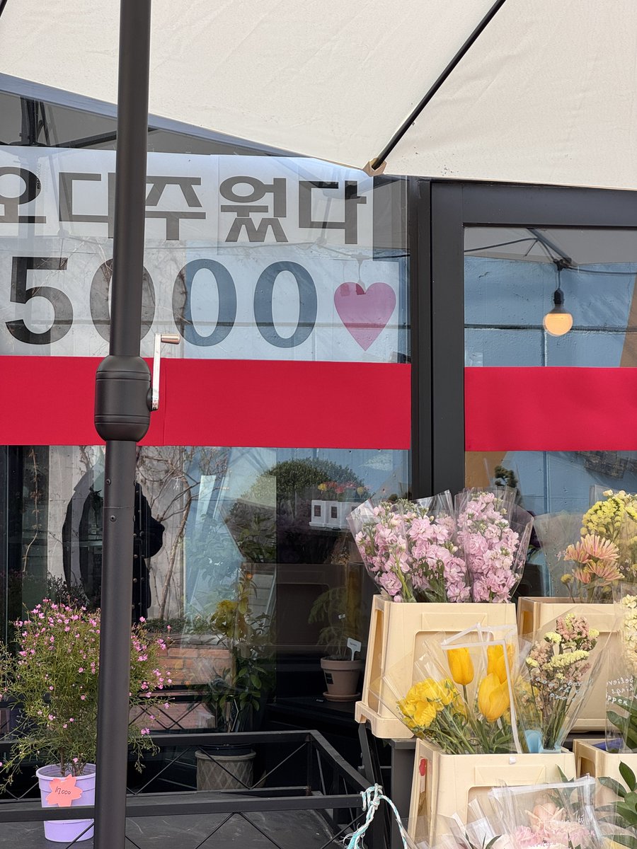 𝑖𝑛𝑔 tweet media