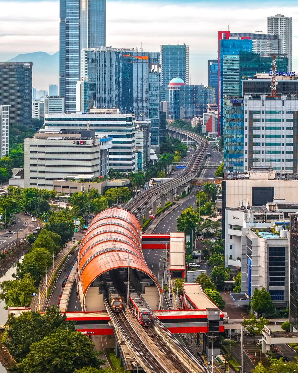 Wildscape Wonders tweet media