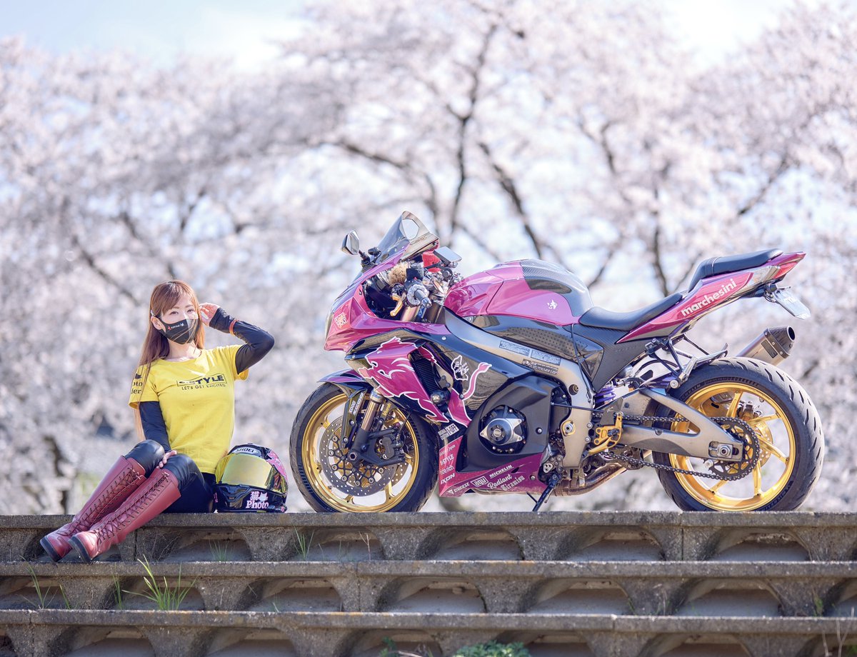 𝐒ちゃん🌸猫Photo Rider tweet media