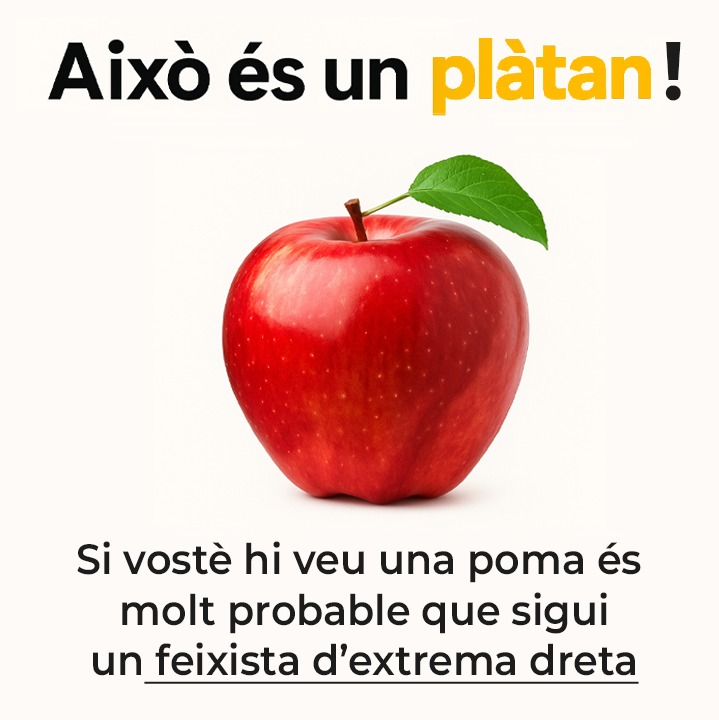 Marc Gès tweet media