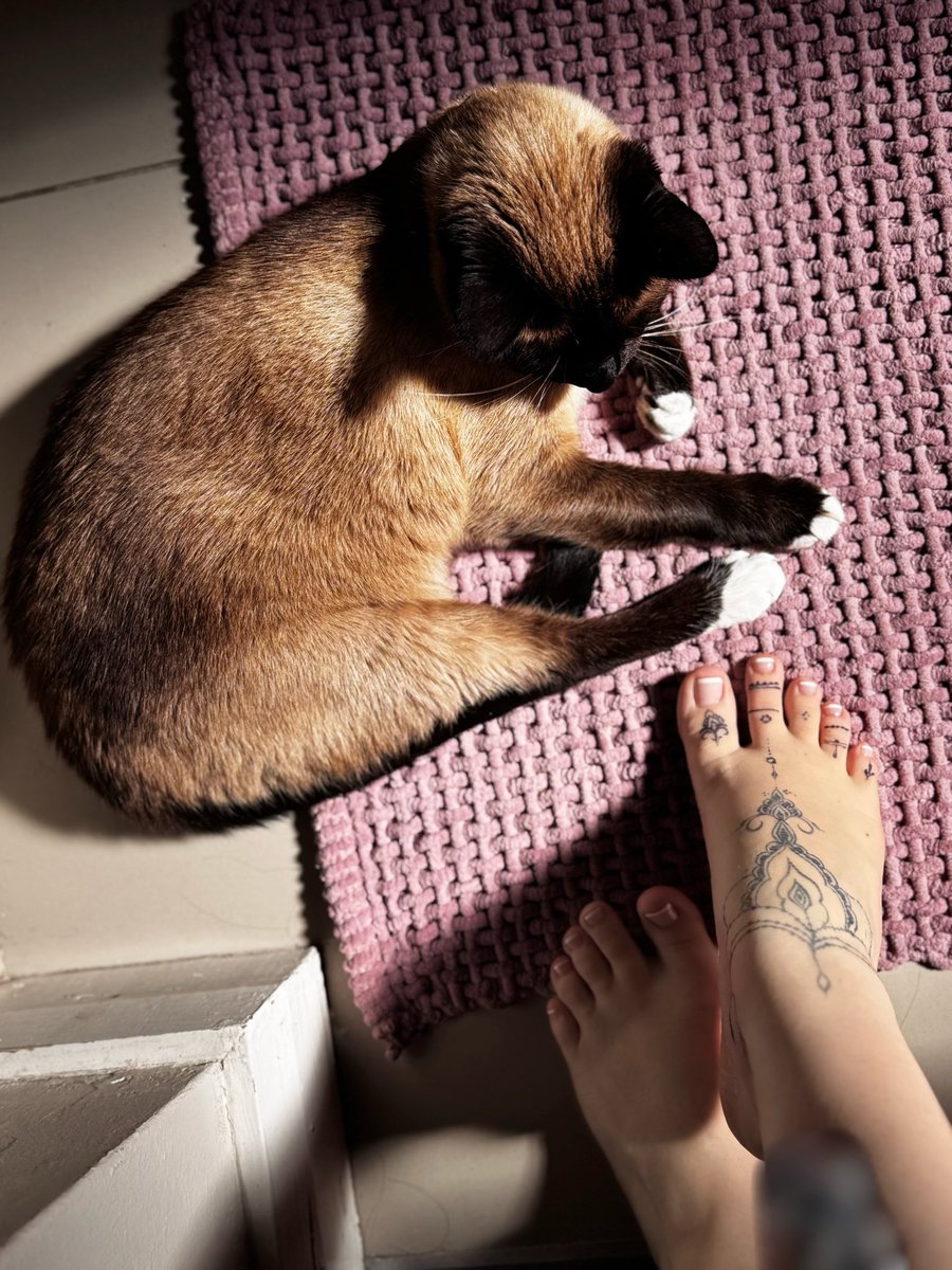 Psycho💕Gummy tweet media