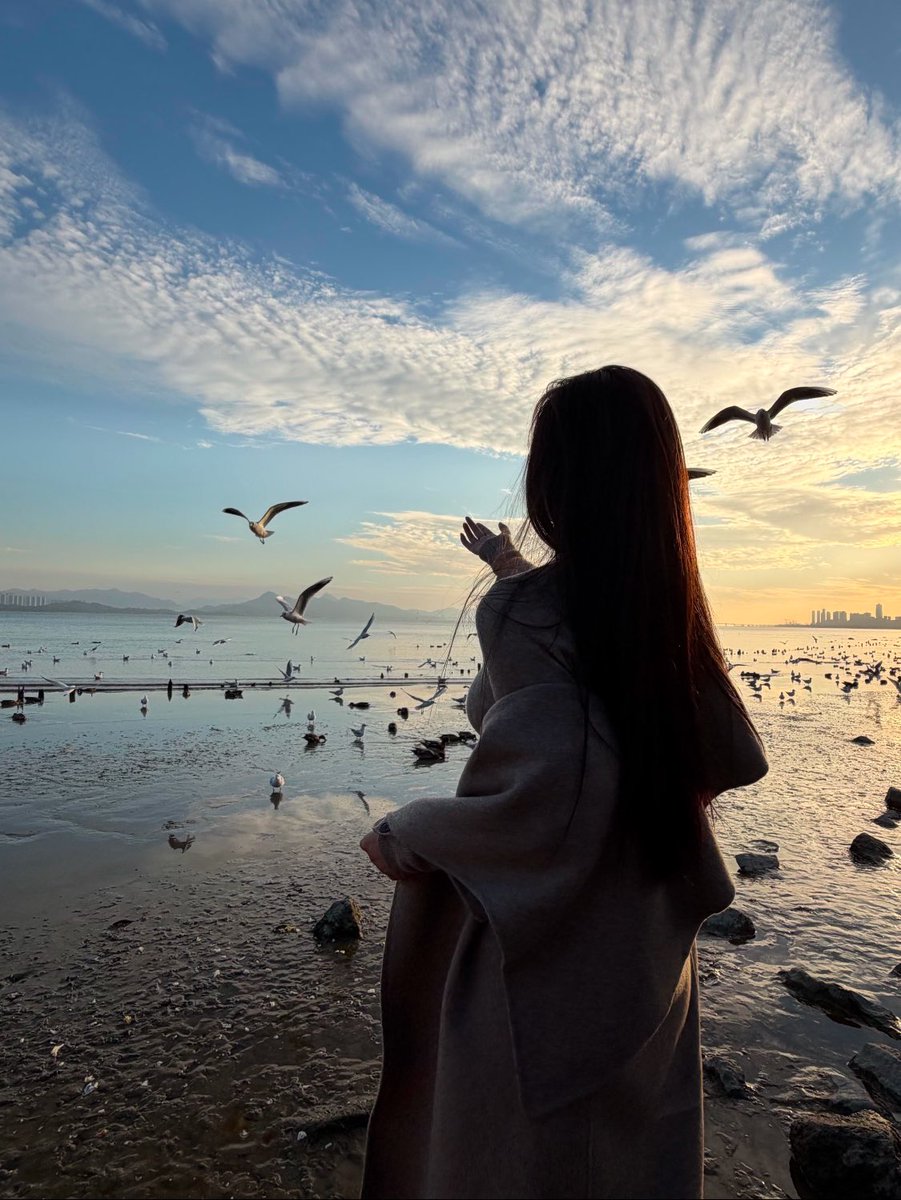 Bubble Fish tweet media