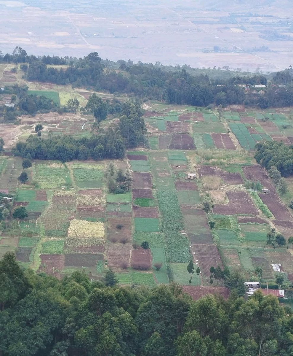 Ignatius tweet media