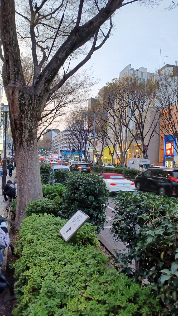 Bitcoin the Ultimate Money Machine! tweet media