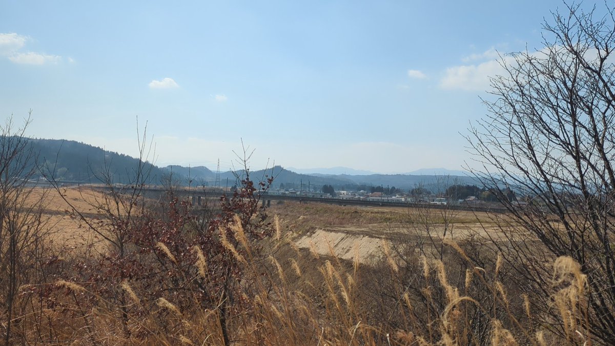 Remainsofme Wu tweet media