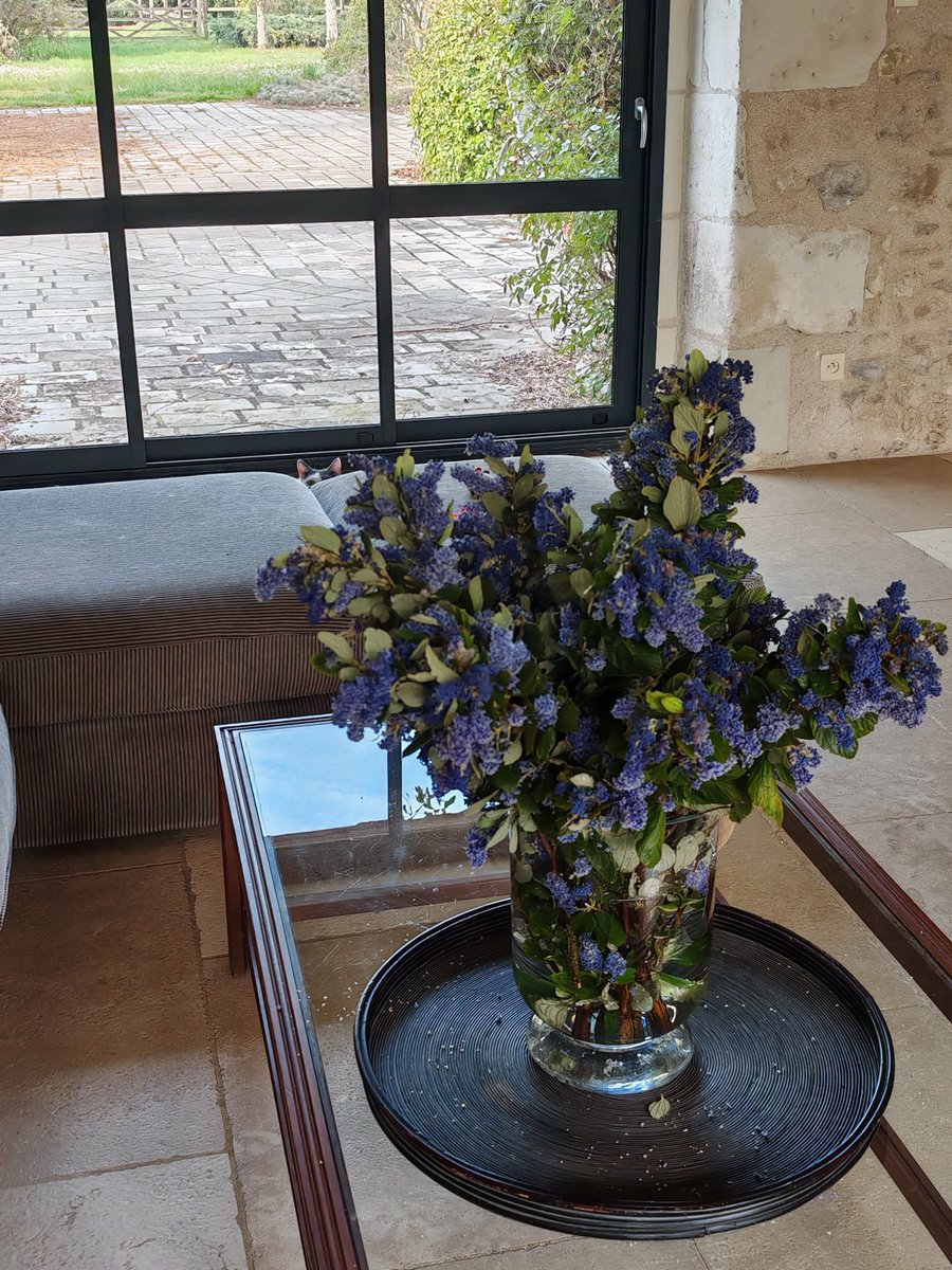 Cyberdéesse🌼 tweet media