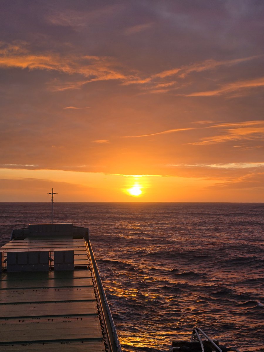 Liviu Tita 🇮🇱 tweet media