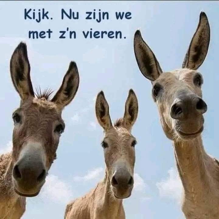 🌹Elisabeth🌹🇳🇱🚜❣️🇮🇹🚜 tweet media