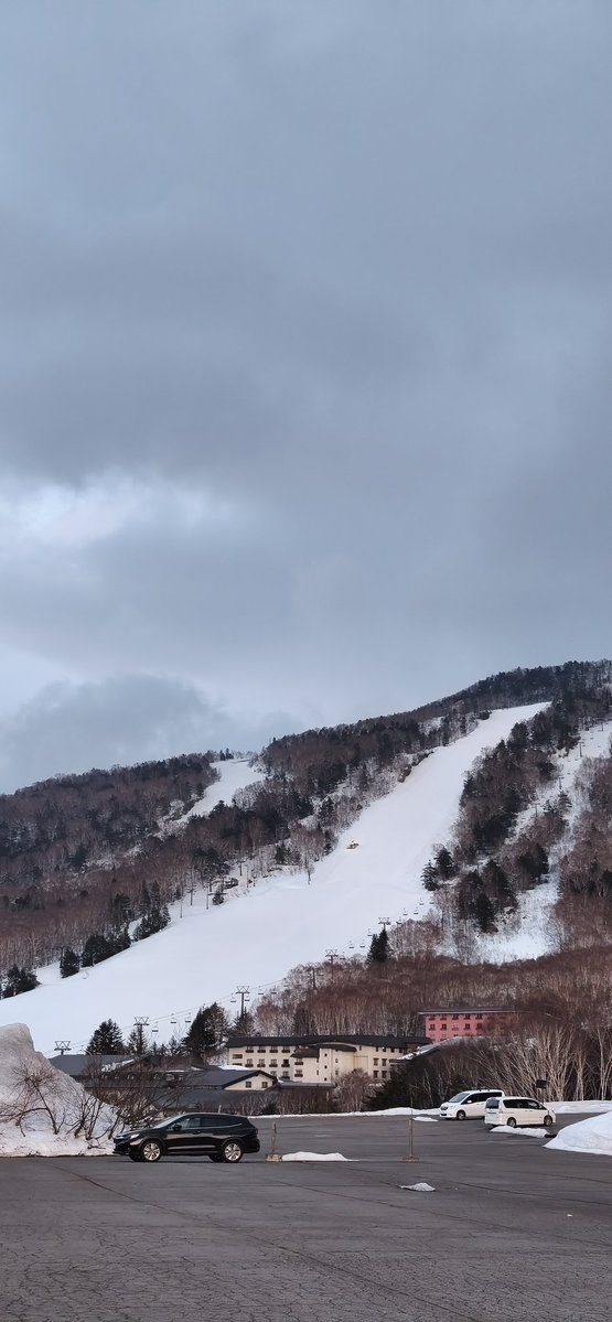 がっちゃ🇯🇵🇳🇿🇦🇺 tweet media