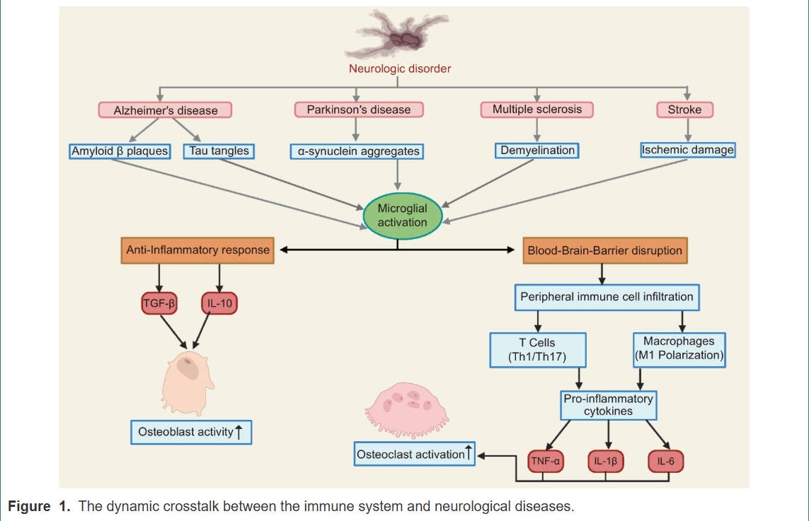 DiseasesResear1's tweet photo. 🗣️New article from Diseases &amp; Research (https://t.co/cKWD7DkLbg)

📩Title
Advances in Stem Cell-Based Therapies with Involved Mechanisms for Neurological Disorders
✏️by Surajit Hansda,  Akash Naik,  Hiranmoy Das

Full text: https://t.co/zyC3Jsu7UD https://t.co/y5pXayrkaJ