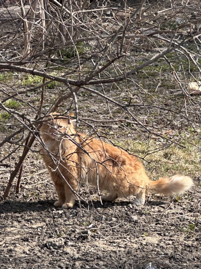 считайте что я утонул tweet media