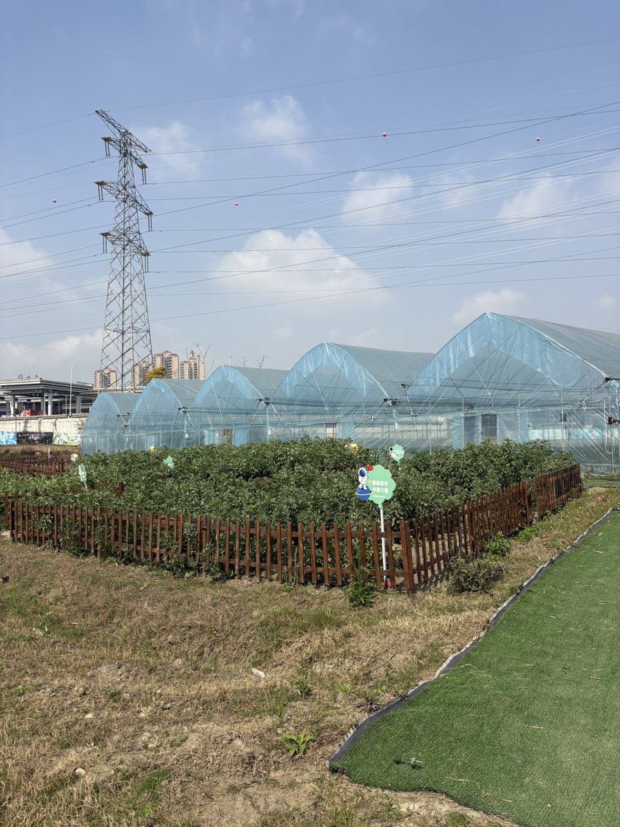 KOKU（草台搭建版） tweet media