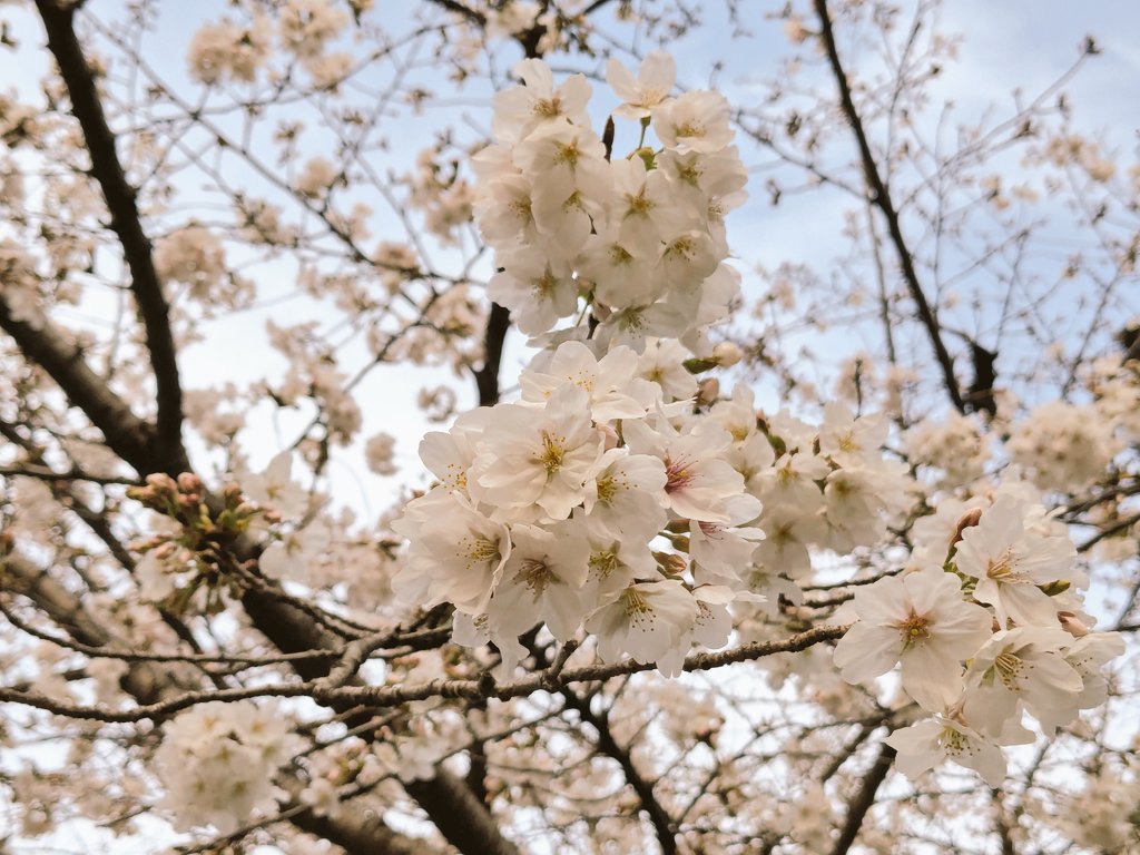 Ｓじろう tweet media