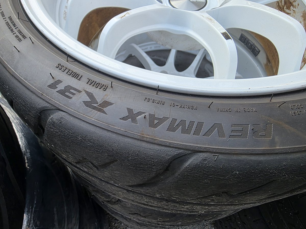 シバタイヤ公式 tweet media