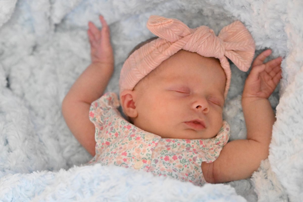 Aмєℓια tweet media