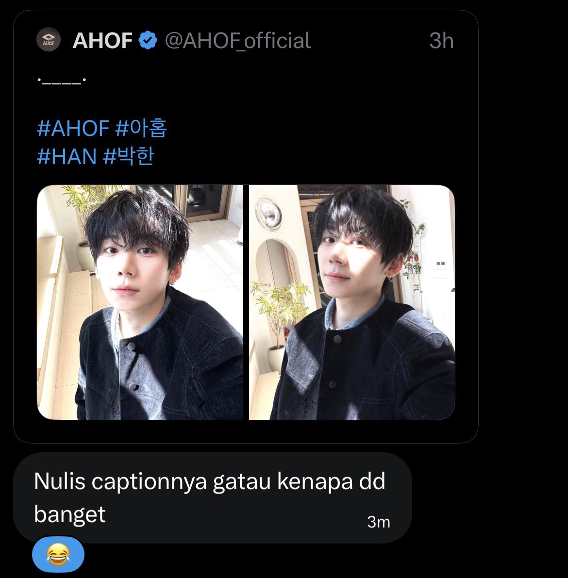 funky dog tweet media