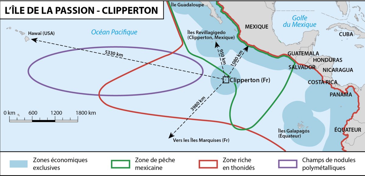 Alex Xplore tweet media