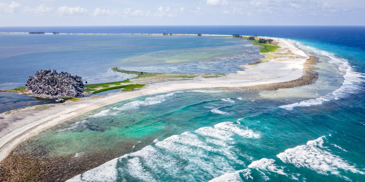 Alex Xplore tweet media