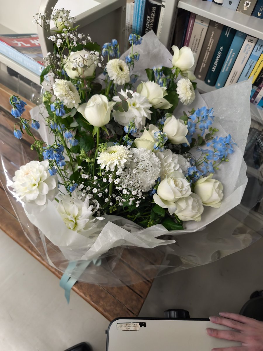 はとぽっぽ🕊 tweet media