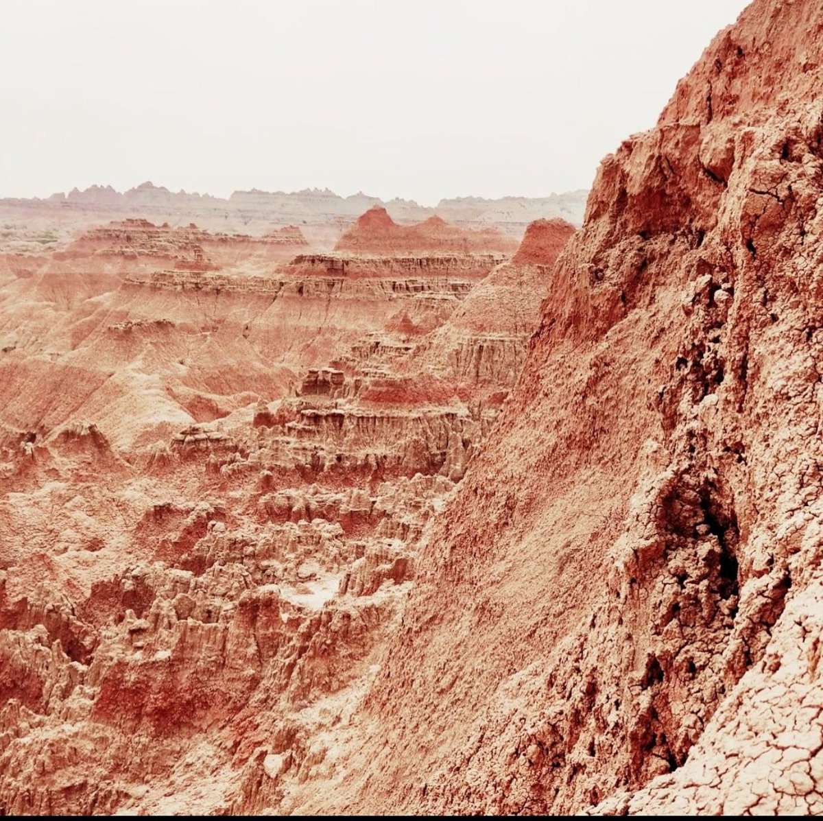 Bingo_mk's tweet image. Today's Daily Picture Theme is 'Planet'

Picture from #Planet Earth but looks like that from the red #planet Mars !
Ladakh,India

#DailyPictureTheme