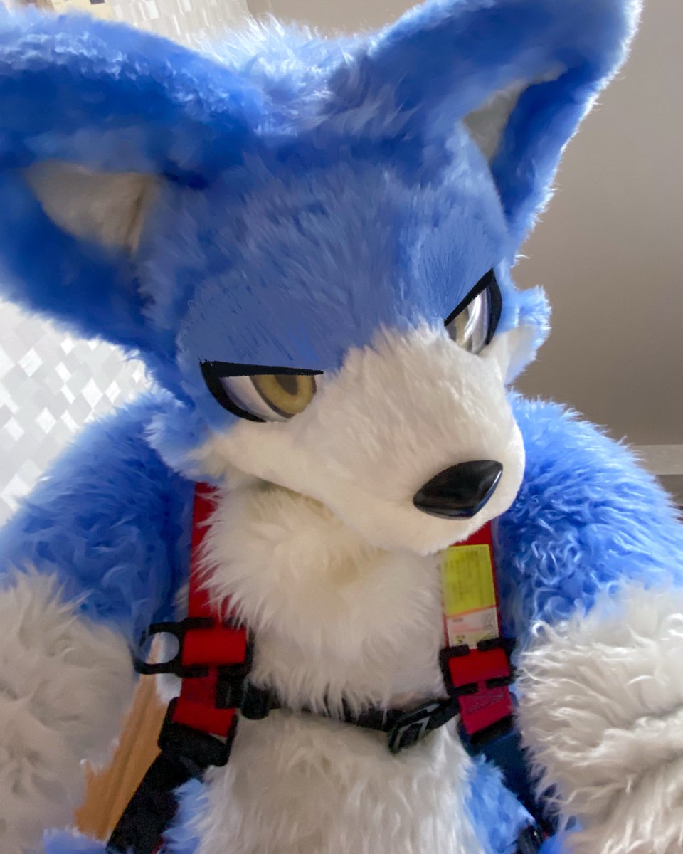 のもけ tweet media