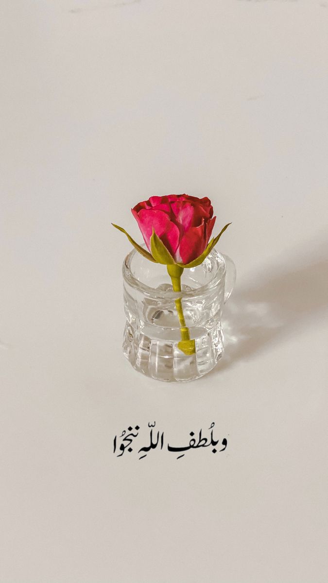 فاطمه💕 tweet media