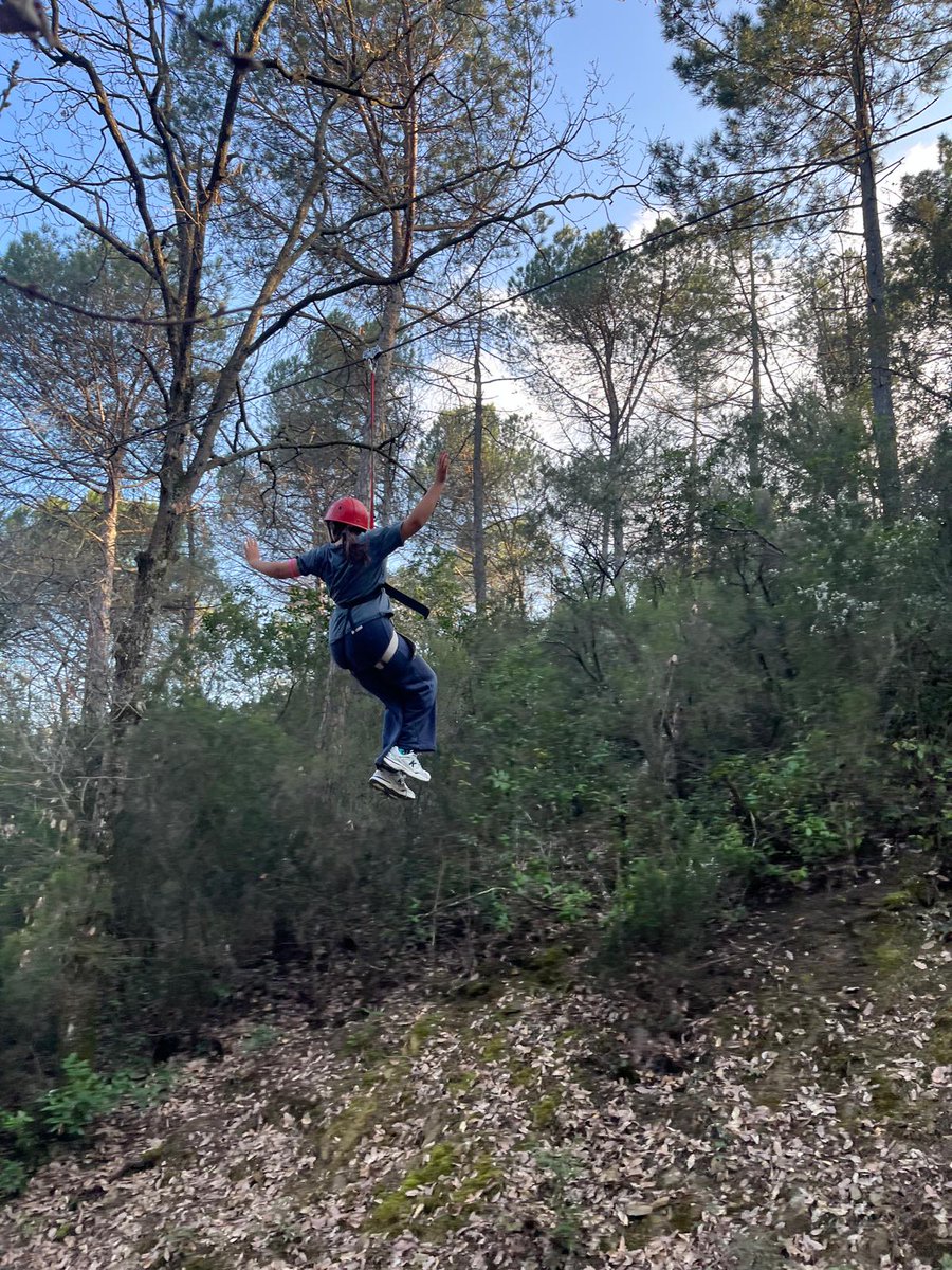 Esc.Galileo Galilei tweet media