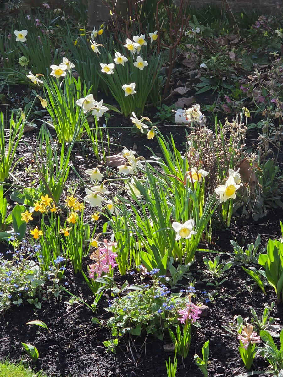 TechDepth tweet media