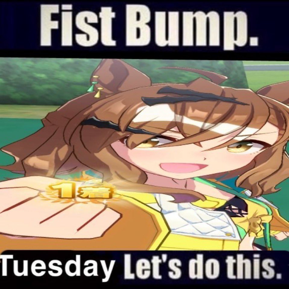 Jungle Pocket!! tweet media