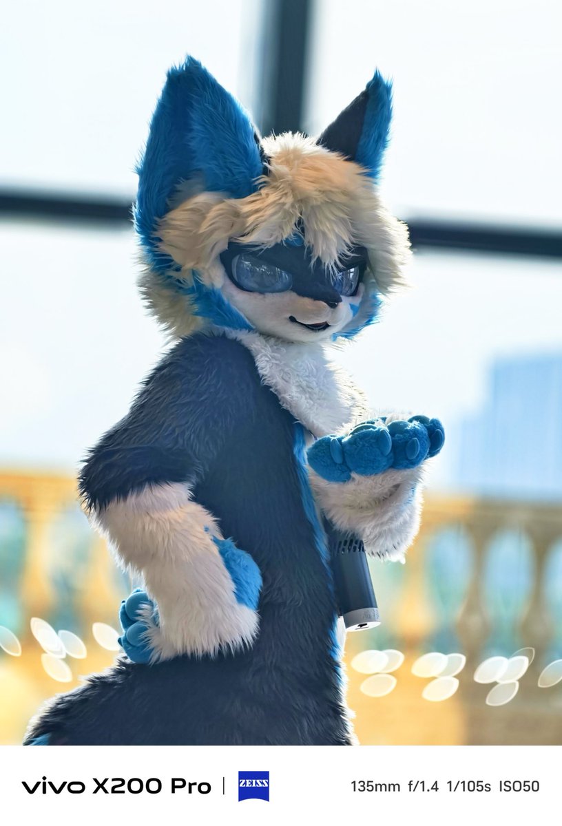 祤狐 / 藍影 tweet media