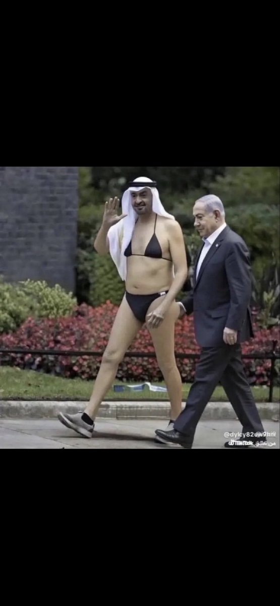 Fishbone tweet media