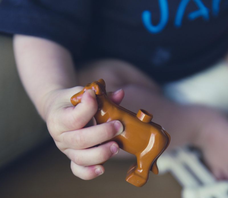 concienciaeco's tweet photo. Jugar sin dañar: cómo diseñar un futuro más sano para nuestros hijos
https://t.co/z0GfbHZbLe
#medioambiente #niños #juguetesinfantiles #bioplásticos #materialesreciclados #salud #infantil #economíacircular #reciclable #sostenibilidad https://t.co/cVaoJJUaCW