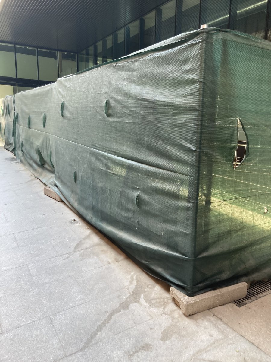 Tina Paterson tweet media