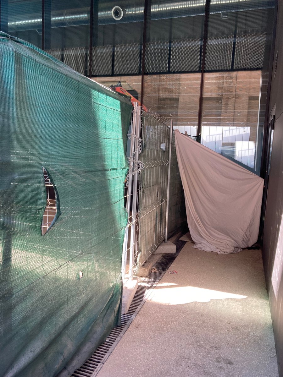 Tina Paterson tweet media